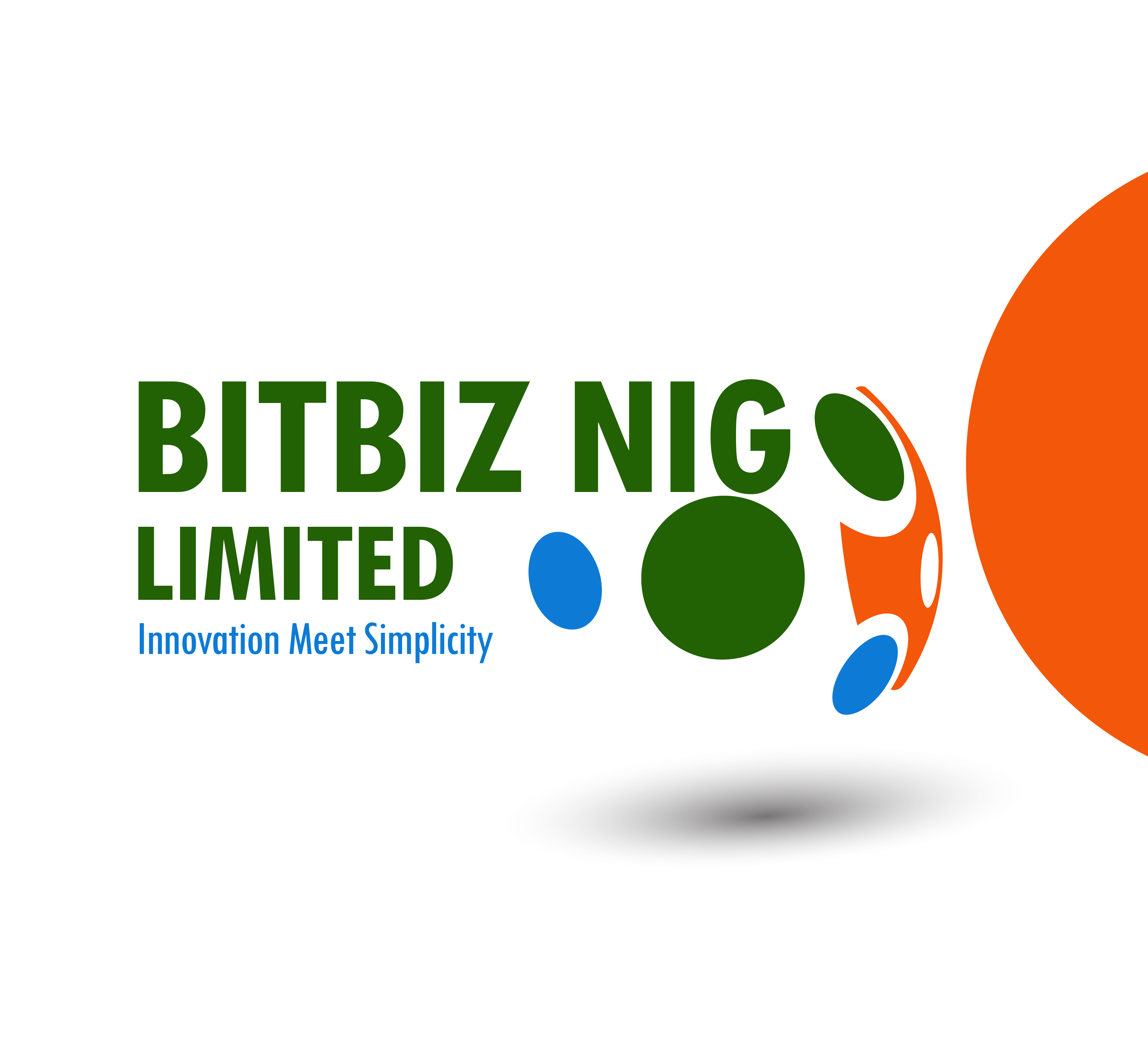 BITBIZ NIG LIMITED